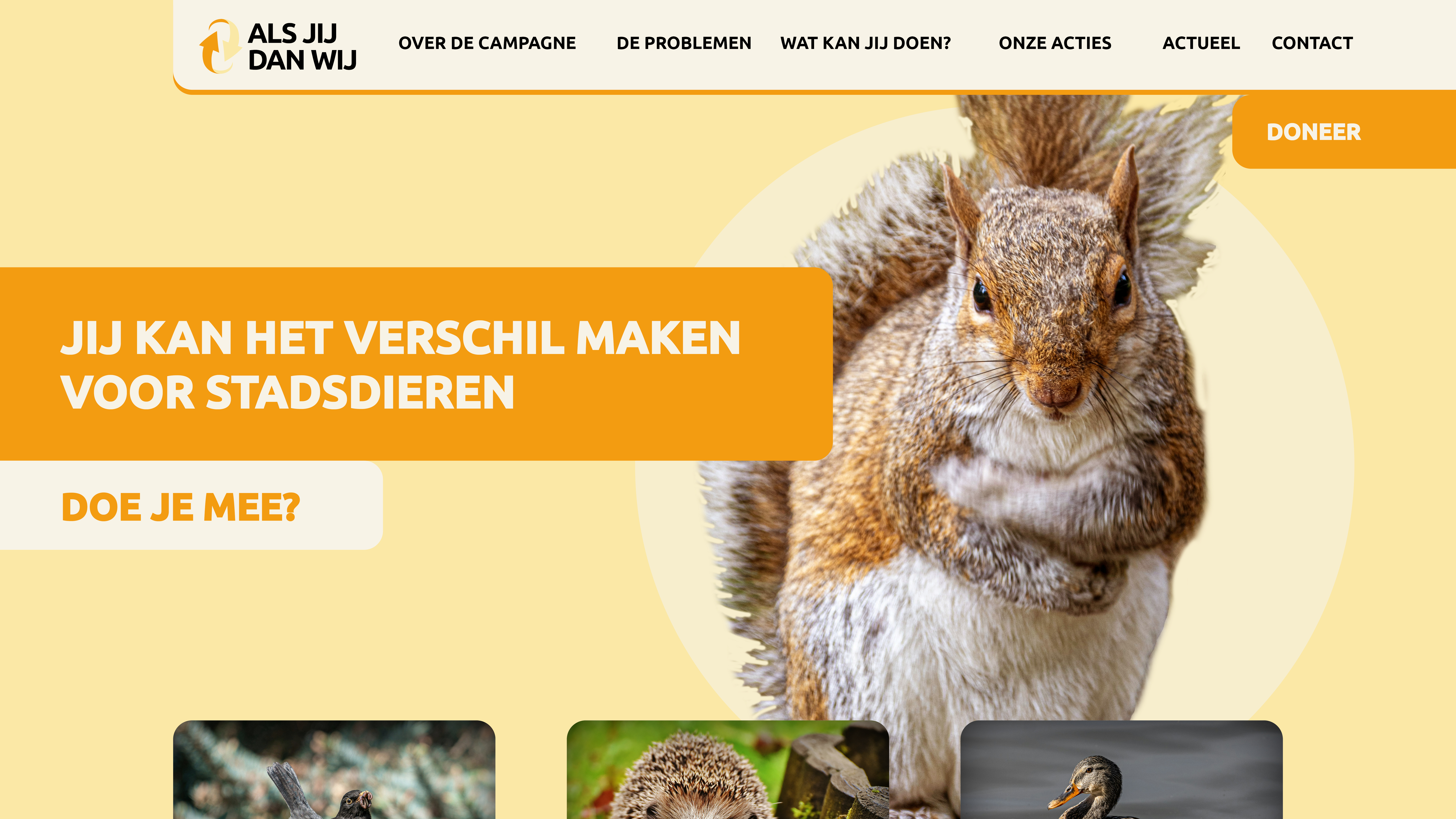 Project afbeelding 2